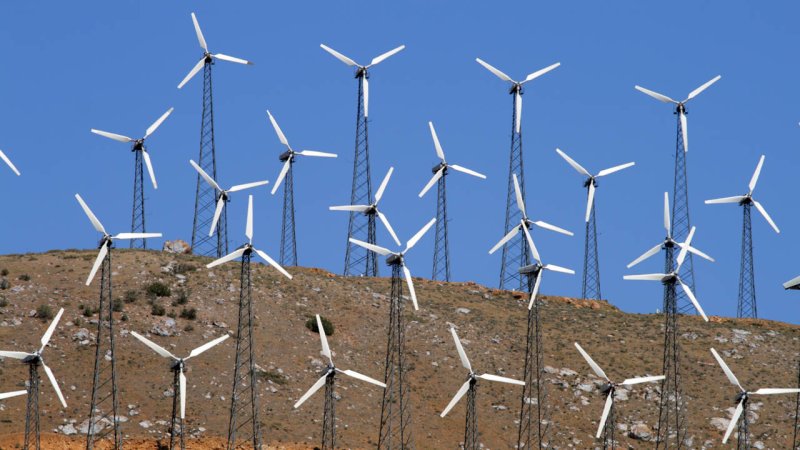 Rows of wind turbines producing clean energy (USA). (Source: © Chee-Onn Leong / stock.adobe.com)