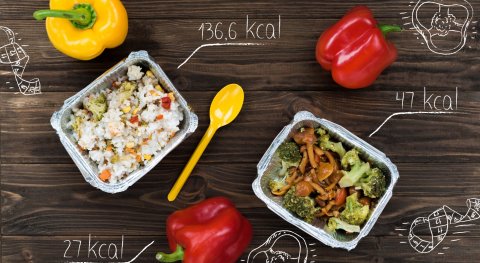How are calories burned in your body? How is it calculated how many calories I burn during various activities?