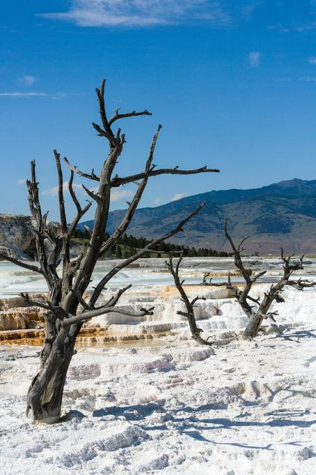 Strongly mineralized hot water from geothermal fields has only a localized negative impact on the environment. (Zdroj: © Laurens / stock.adobe.com)