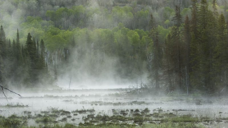Natural water evaporation from water courses. (Source: © Seb / stock.adobe.com)