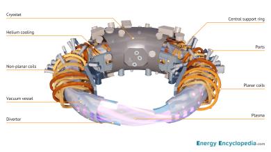 A modular stellarator model depicting the plasma, vacuum chamber, modular coils and cryostat.