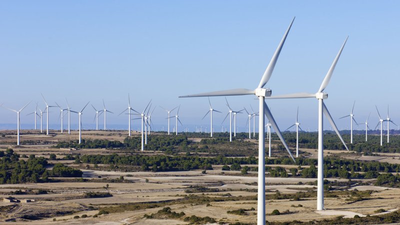 Some wind farms are can be better characterized as wind turbine forests. (Source: © pedrosala / stock.adobe.com)