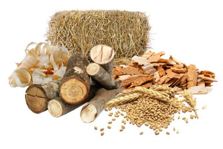 Types of Biomass Suitable for Direct Combustion (Source: stock.adobe.com)