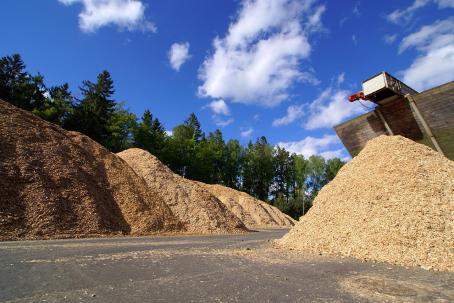 Reserves of combustible solid biomass have to be present at biopower plants in order to secure their uninterrupted operation. (Source: © Andrei Merkulov / stock.adobe.com)