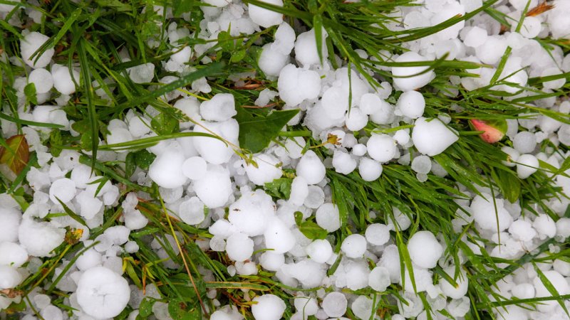 When cooled drastically water falls to the ground in the form of hail. (Source: © Goran / stock.adobe.com)