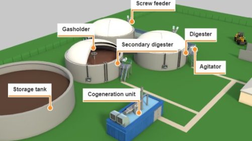 Biomass Energy