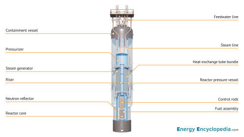 NPP SMR reactor, schematic diagram