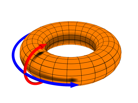 Torodial (blue) and poloidal (red) coordinates. (Source: DaveBurke, Wikipedia.org)