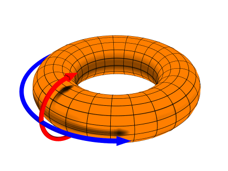 Toroidal (blue) and poloidal (red) coordinates. (Source: DaveBurke, Wikipedia.org)