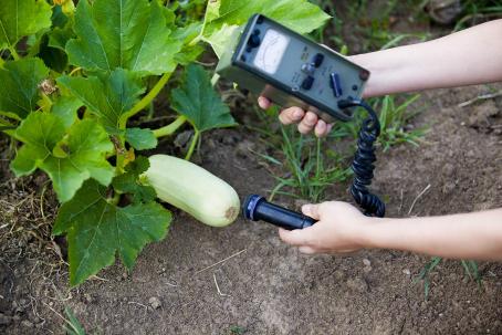 Checking the radioactivity level of produce entering the food chain. (Source: © wellphoto / stock.adobe.com)