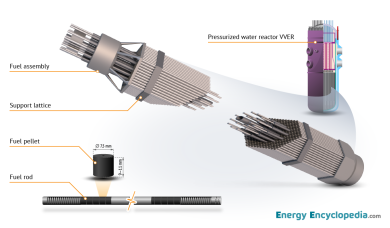 Fuel pellet, fuel rod, and fuel assembly from a VVER pressurized water reactor (image available in the Free Downloads section).