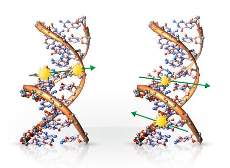 DNA damage caused by ionizing radiation — one or both double helix strains are broken.