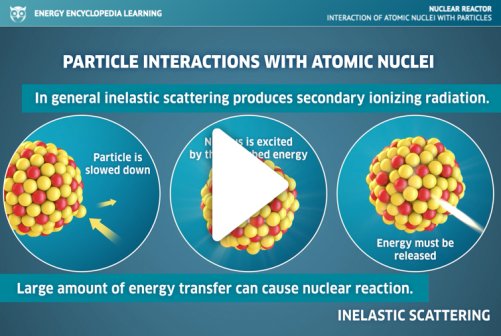 Interaction of Atomic Nuclei with Particles