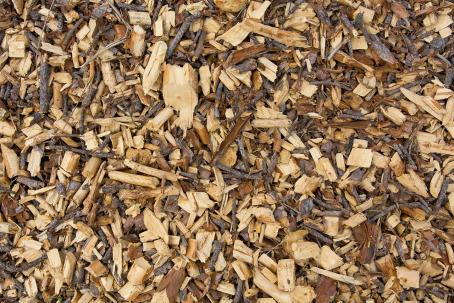 Wood chips — freshly processed waste dendromass. (Source: © Mike / stock.adobe.com)