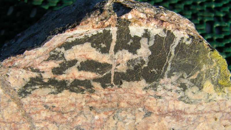 Uranium ore from the deposit Niederschlema-Alberoda (pitchblende (black) in dolomite (red)). (Source: Wikipedia.org)