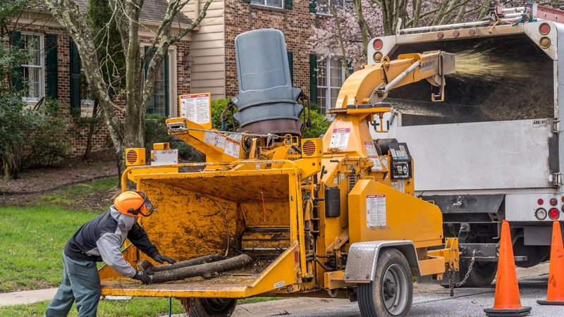 An industrial wood chipper processes the wooden waste left after the felling of trees. (Source: © tamas / stock.adobe.com)