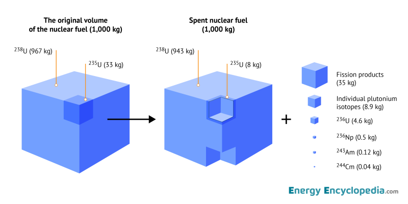 Fission products spent fuel