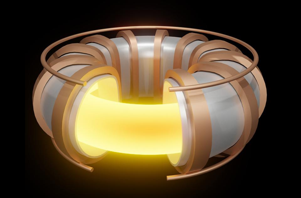 Toroidal and poloidal coils on tomakak scheme. (Source: © Love Employee / stock.adobe.com)