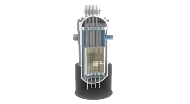 PWR nuclear reactor