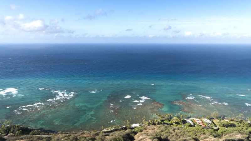 Warm sea water can support a multitude of living organisms. (Source: © Gary / stock.adobe.com)