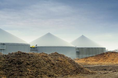 In anaerobic digestion, manure is used as sustenance for the methane-producing bacteria. (Source: © LianeM / stock.adobe.com)