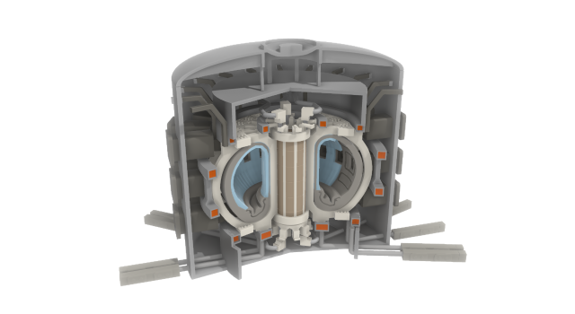 Tokamak