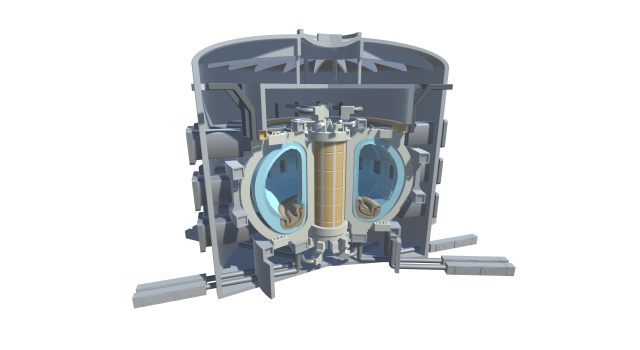 Tokamak