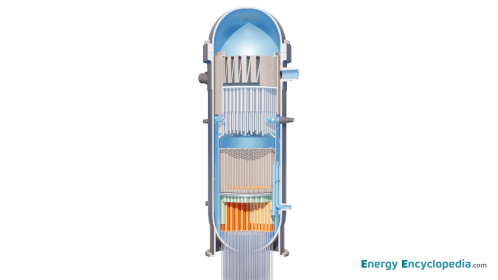 NPP BWR reactor