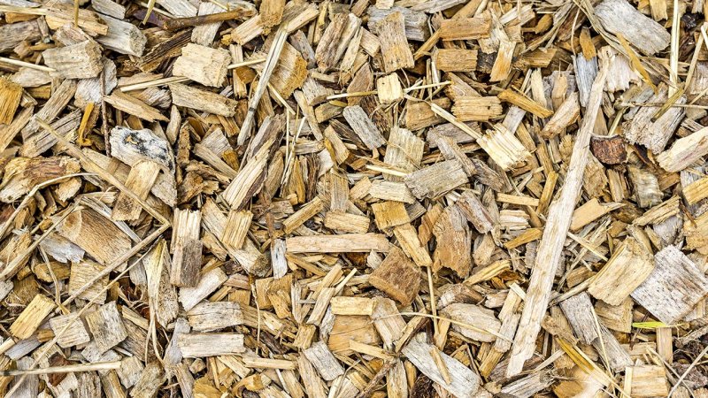 Ground wood waste — wood chips. (Source: © Gajus / stock.adobe.com)