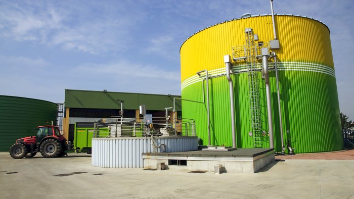 Biomass Power Plants