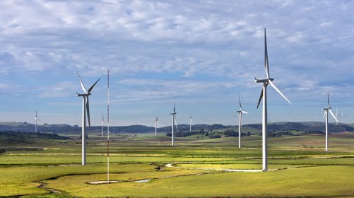 Wind Turbines and the Environment