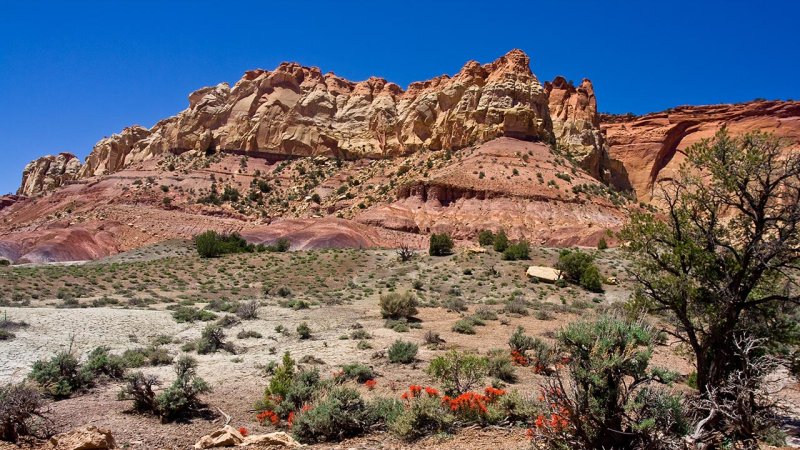 The Earth’s crust in the form of beautiful sandstone rock formations in the Capitol Reef National Park, Utah (USA). (Source: © Sebastien Fremont / stock.adobe.com)