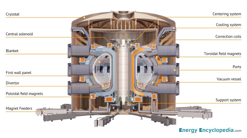 Tokamak schematic diagram