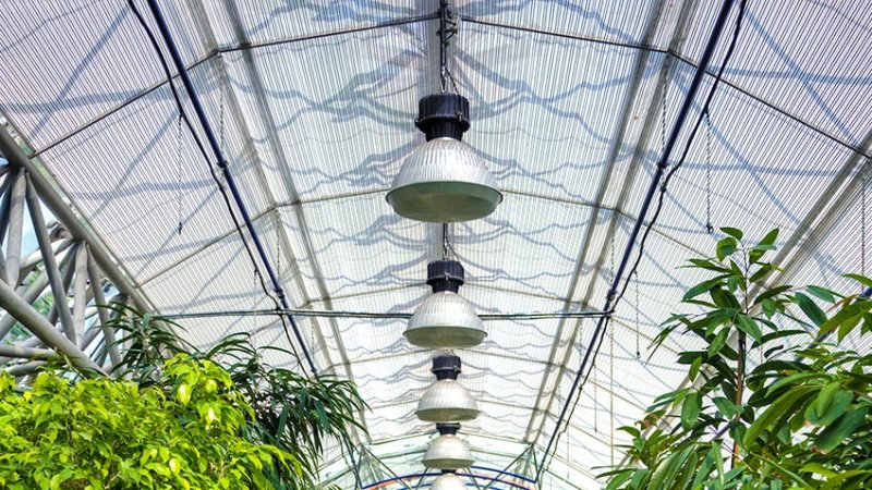 The interior of a modern greenhouse. (Source: © brozova / stock.adobe.com)