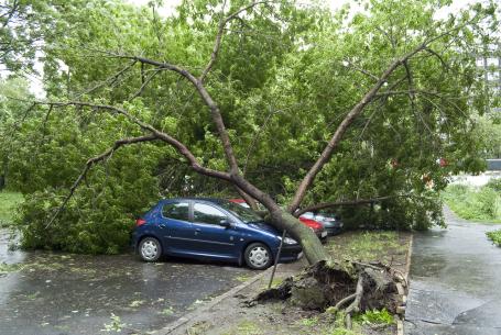 A whole gale, storm: Seldom experienced inland, trees are uprooted, considerable structural damage occurs. Wind speed: 89—102 km/h, wave height: 6—9 m (Source: © klz / stock.adobe.com)
