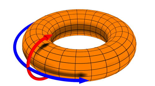 Toroidal field