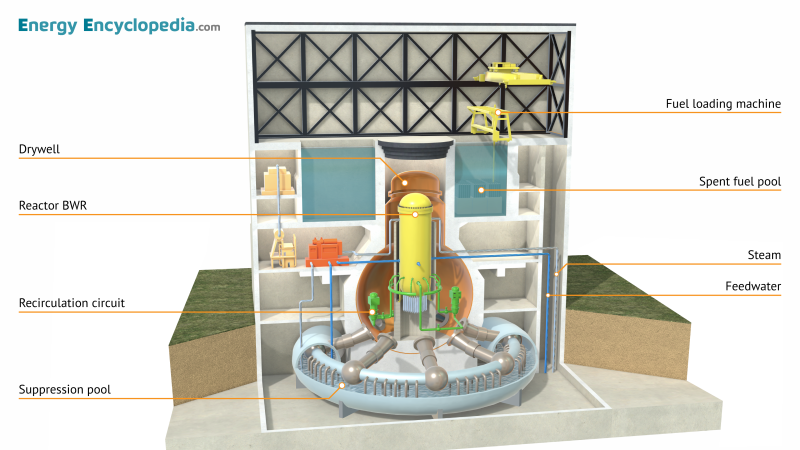 BWR Mark I containment system (labelled)