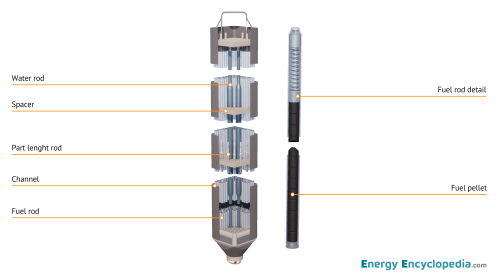 NPP BWR fuel assembly, schematic diagram