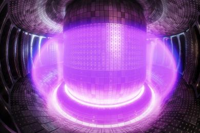 When a gaseous fuel is heated in a tokamak, some electrons are freed from their atoms and the gas becomes a plasma — the fourth state of matter. (Source: © guteksk7 / stock.adobe.com)
