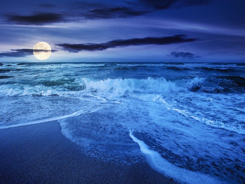 Why is a tidal wave at the opposite side of the Earth than the Moon (Source: © Pellinni / stock.adobe.com)
