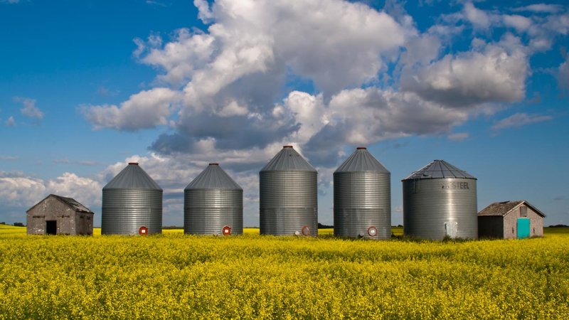 A row of steel grain silos. Lower grade grain can be used as a solid biofuel. (Source: © Andrew Haddon / stock.adobe.com)