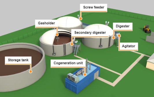 Biomass Energy