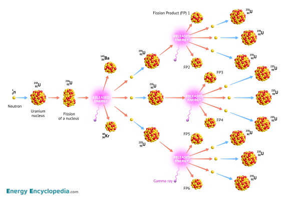 Explain Fission Fission chain reaction, schematic diagram - Images - Free Downloads ...
