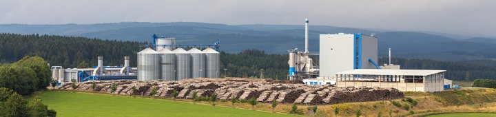 Biomass cogeneration plant. (Source: © Tobias Arhelger / stock.adobe.com)