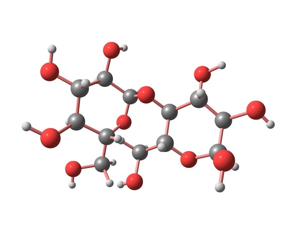 Starch molecule stores energy in bonds between carbon (gray) and other elements. (Source: © ollaweila / stock.adobe.com)