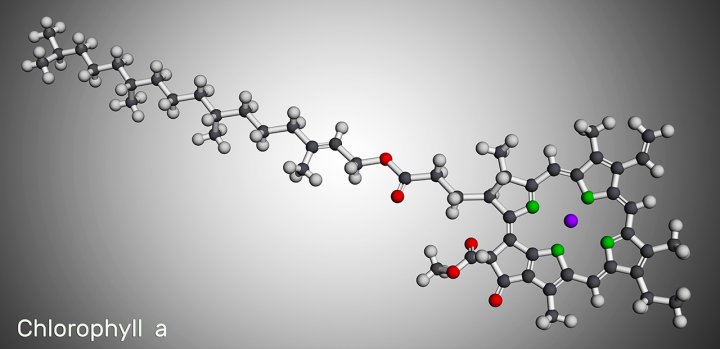 Chlorophyll molecule. (Source: © bacsica / stock.adobe.com)