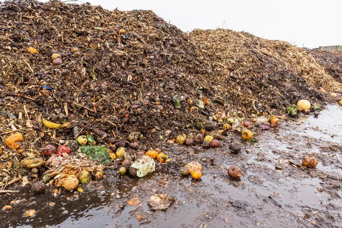 Agricultural organic waste. (Source: © ansyvan / stock.adobe.com)