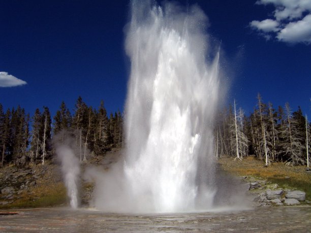 Geyser in Yellowstone, US. (Source: © Jordan Lewy / stock.adobe.com)