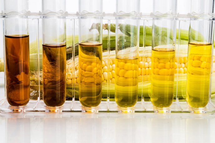 Bioethanol made from corn. (Source: © ThamKC / stock.adobe.com)
