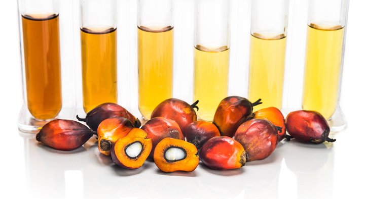 Biodiesel from oil palm seeds. (Source: © ThamKC / stock.adobe.com)